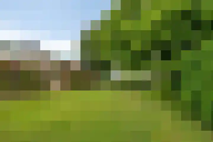 De Kling 5 Ulestraten thumbnail 53