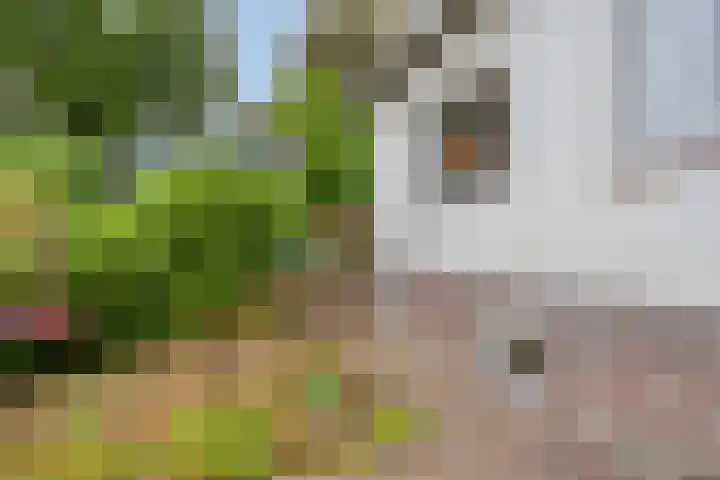 De Kling 5 Ulestraten thumbnail 55