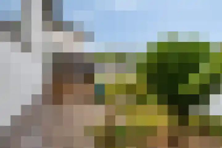 De Kling 5 Ulestraten thumbnail 56