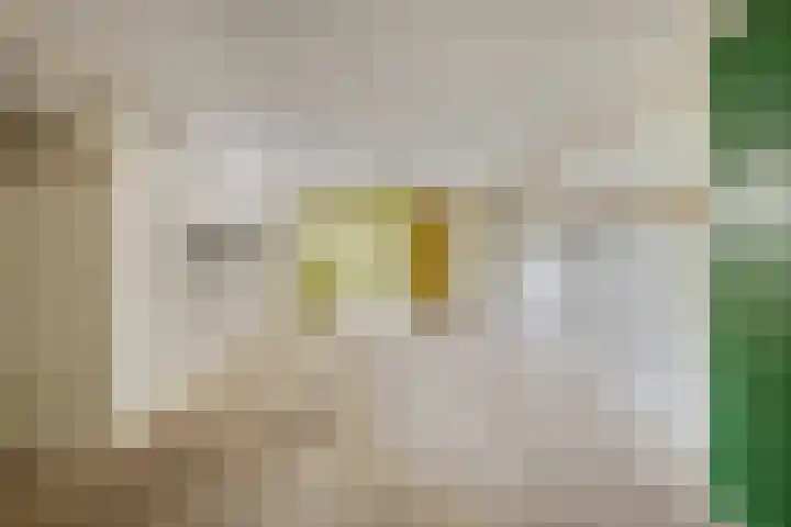 De Kling 5 Ulestraten thumbnail 60