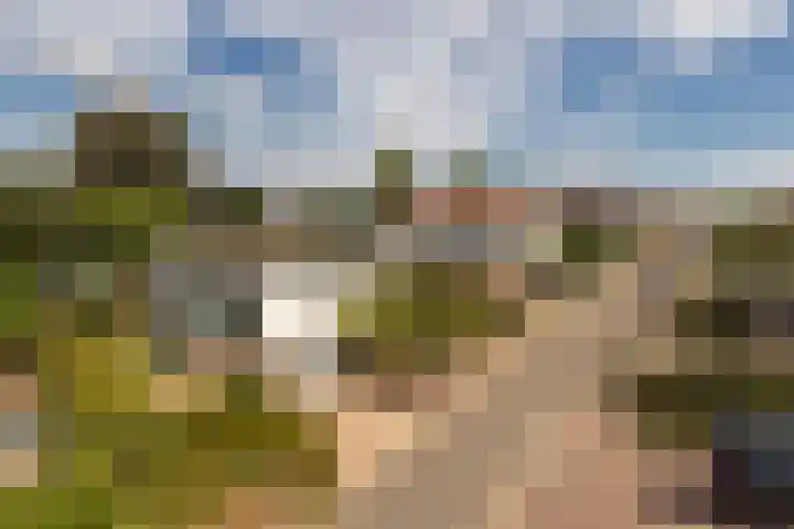 De Kling 5 Ulestraten thumbnail 8