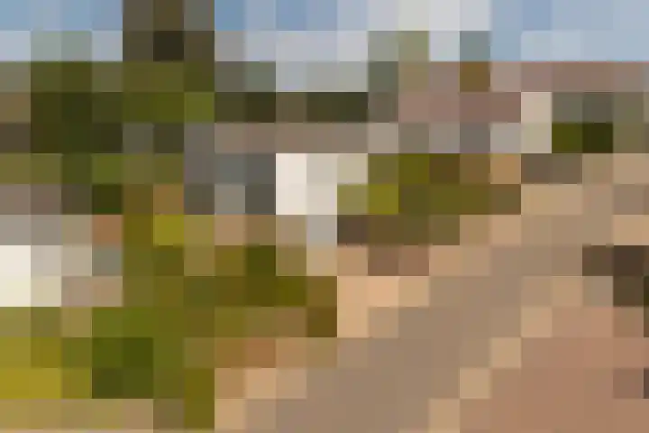 De Kling 5 Ulestraten thumbnail 9