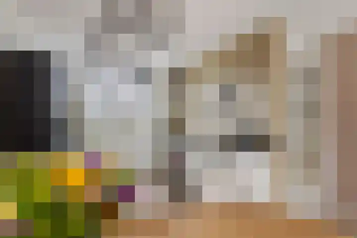 De Klingelenberg 21 Tuil thumbnail 14