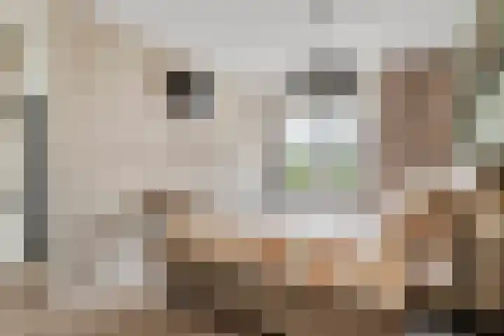 De Klingelenberg 21 Tuil thumbnail 22