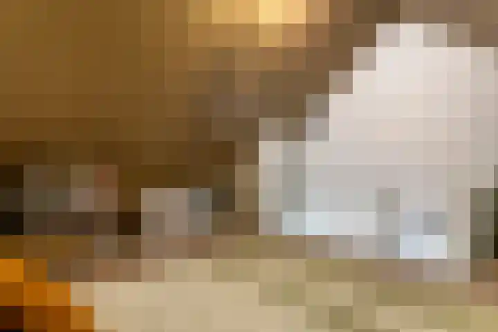 De Klingelenberg 21 Tuil thumbnail 30