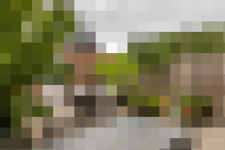 De Klingelenberg 21 Tuil thumbnail 31