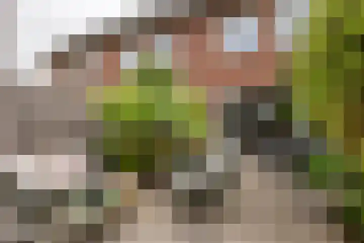 De Klingelenberg 21 Tuil thumbnail 33