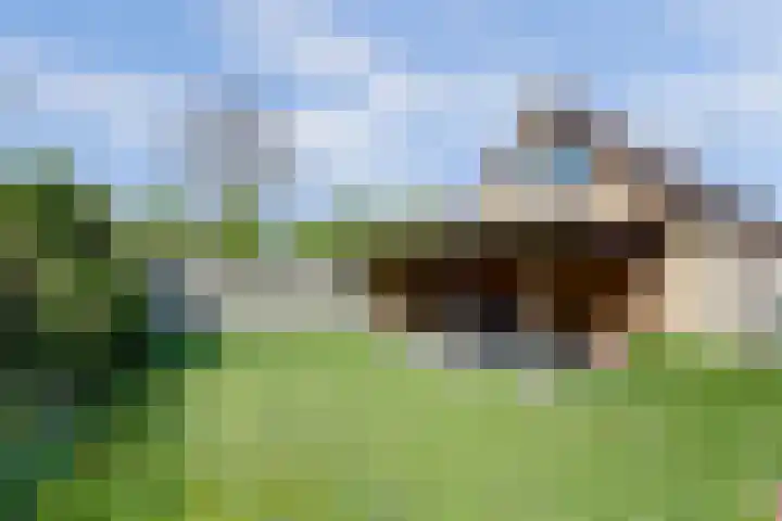 De Klinker 16 Kapelle thumbnail 33