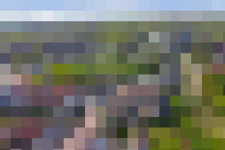 De Klinker 16 Kapelle thumbnail 38