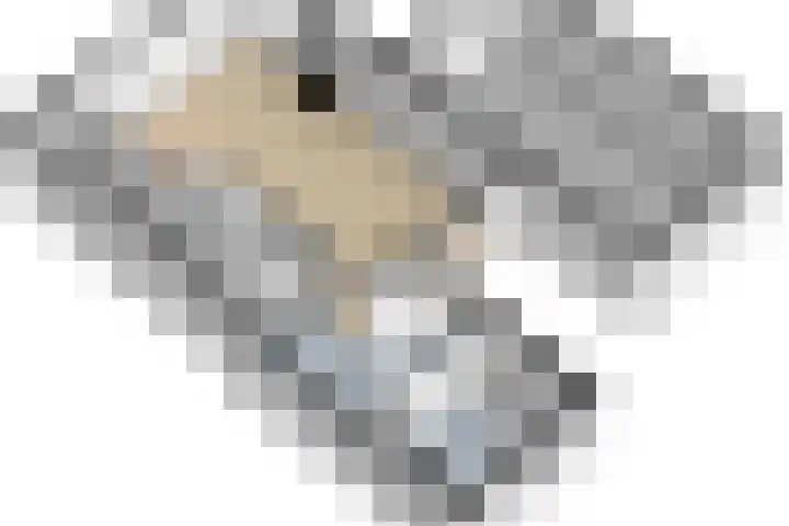 De Klinker 16 Kapelle thumbnail 44