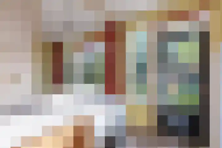 De Klip 50 Koedijk thumbnail 13