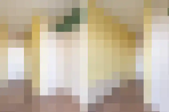 De Klip 50 Koedijk thumbnail 15