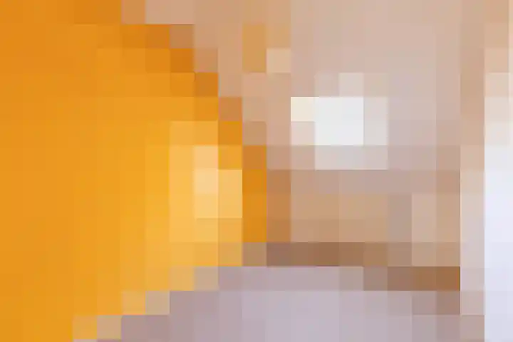 De Klip 50 Koedijk thumbnail 17