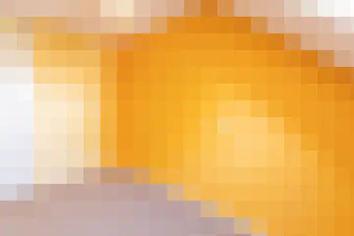 De Klip 50 Koedijk thumbnail 18