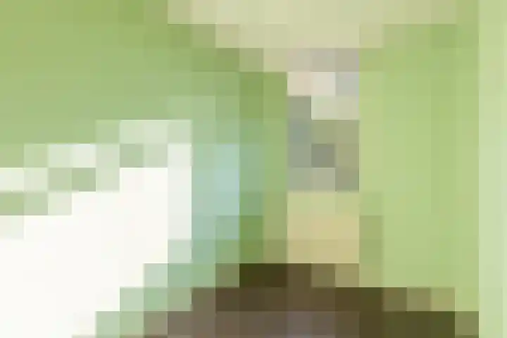 De Klip 50 Koedijk thumbnail 19