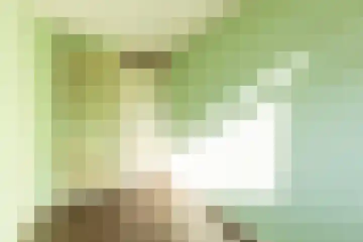De Klip 50 Koedijk thumbnail 20