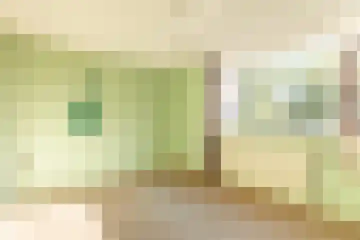 De Klip 50 Koedijk thumbnail 21