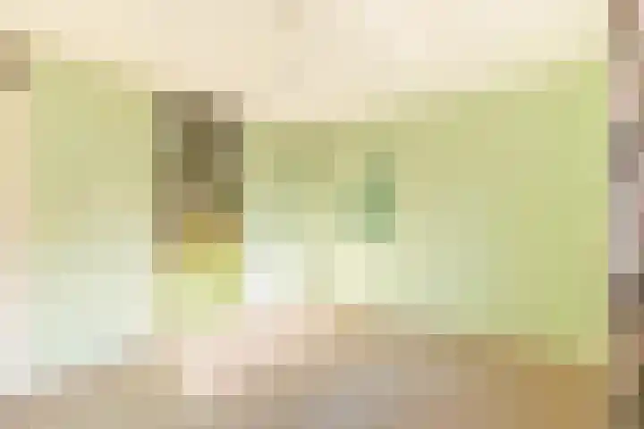 De Klip 50 Koedijk thumbnail 22