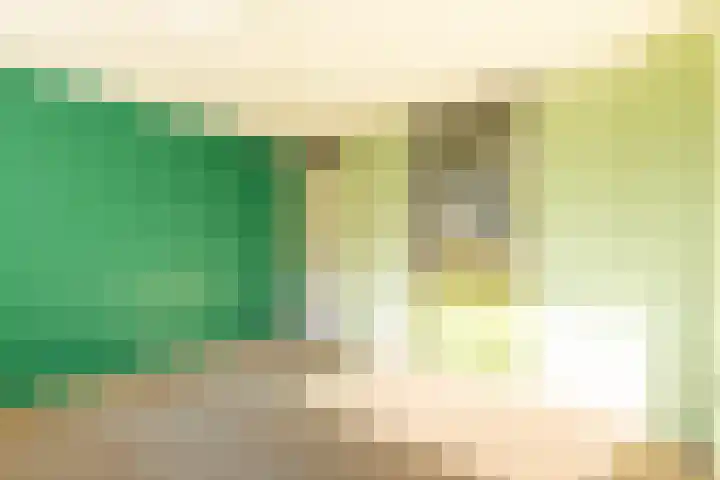 De Klip 50 Koedijk thumbnail 23