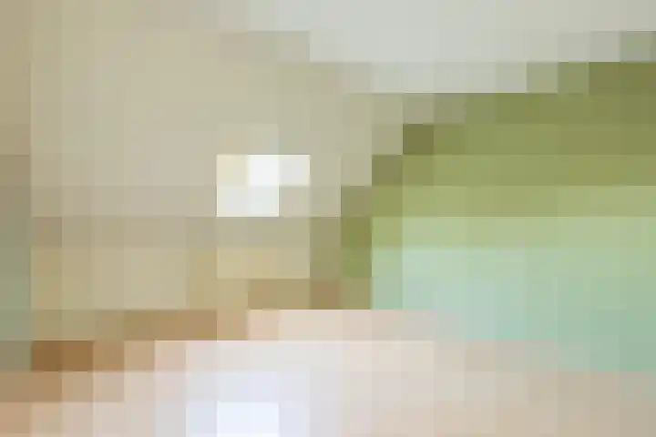 De Klip 50 Koedijk thumbnail 25