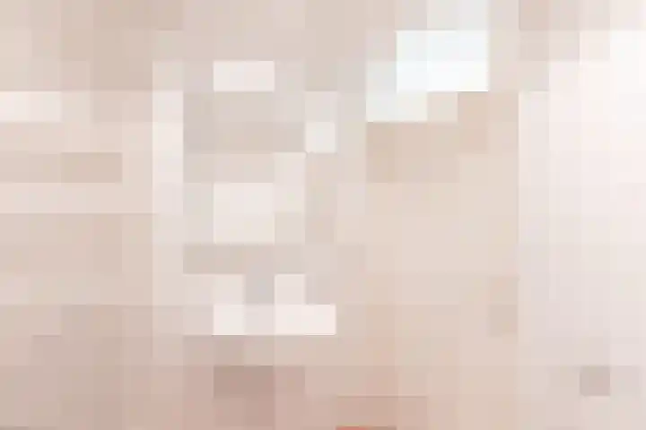 De Klip 50 Koedijk thumbnail 30