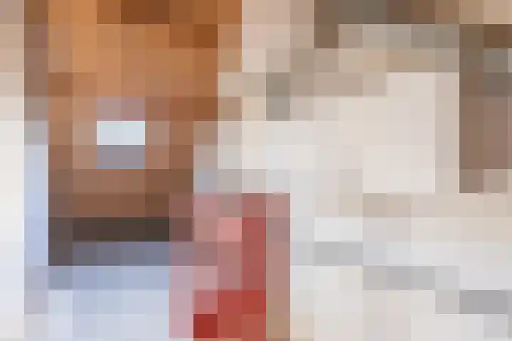De Klip 50 Koedijk thumbnail 32