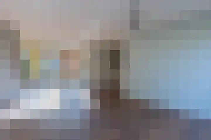 De Klip 50 Koedijk thumbnail 4