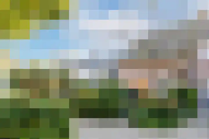 De Klip 50 Koedijk thumbnail 40