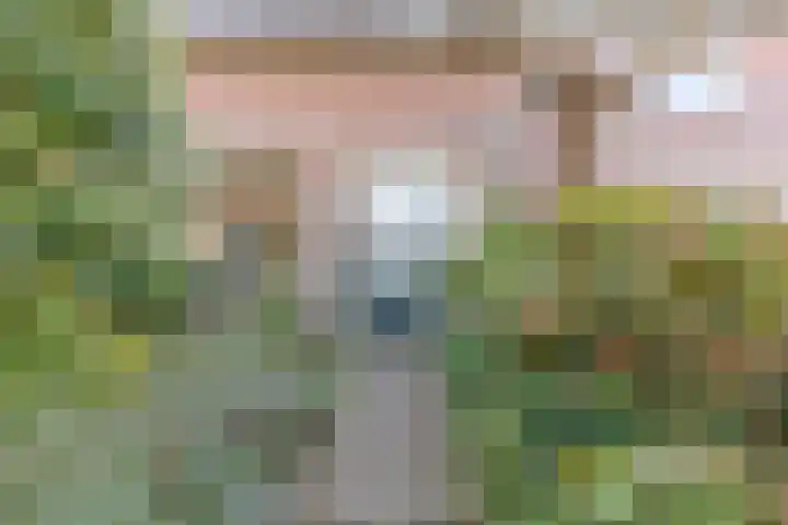 De Klip 50 Koedijk thumbnail 41