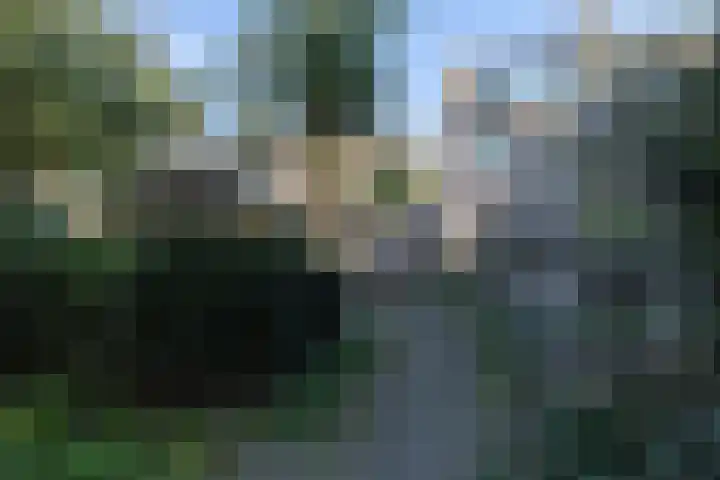 De Klip 50 Koedijk thumbnail 42