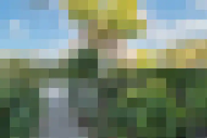 De Klip 50 Koedijk thumbnail 43