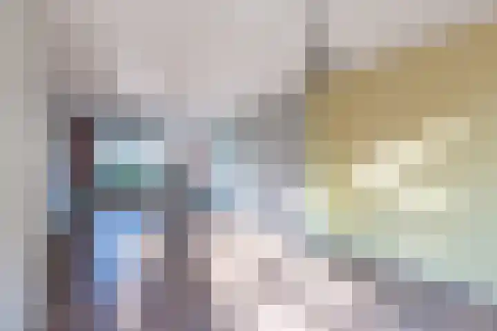 De Klip 50 Koedijk thumbnail 5