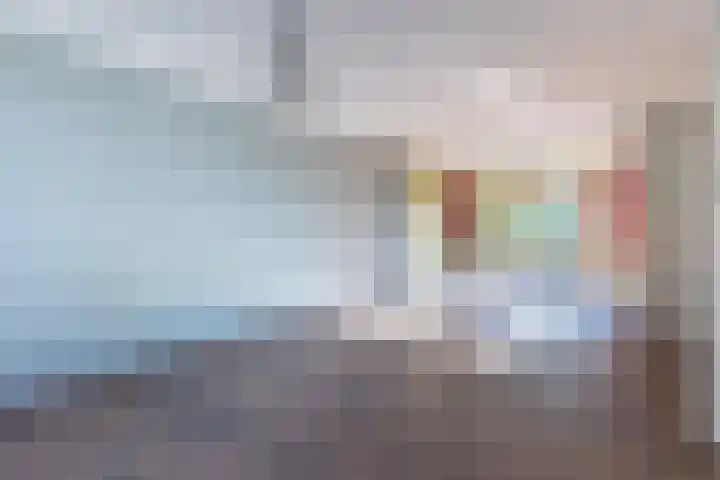 De Klip 50 Koedijk thumbnail 6