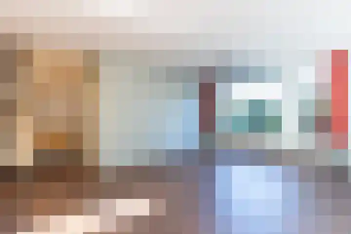 De Klip 50 Koedijk thumbnail 7