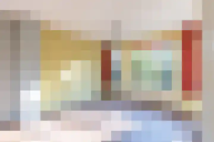 De Klip 50 Koedijk thumbnail 9