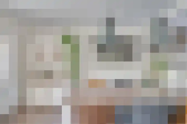 De Klip 70 Koedijk thumbnail 10