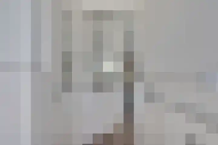 De Klip 70 Koedijk thumbnail 14