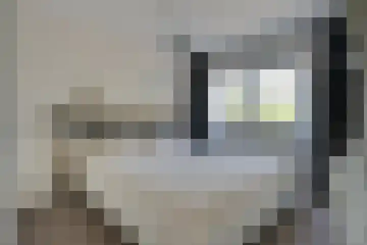De Klip 70 Koedijk thumbnail 19