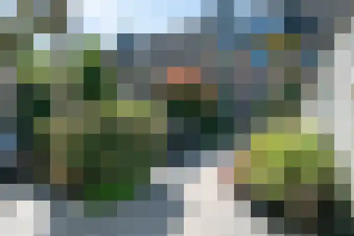De Klip 70 Koedijk foto 2