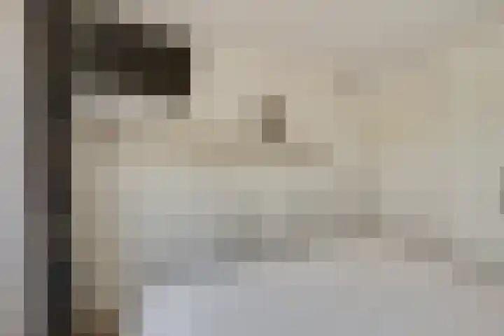 De Klip 70 Koedijk thumbnail 21