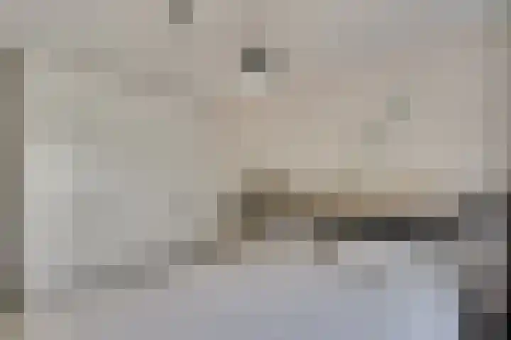 De Klip 70 Koedijk thumbnail 22