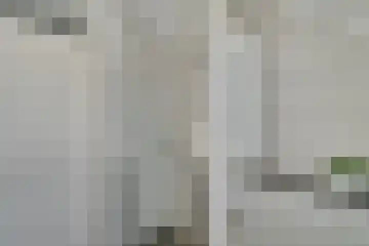 De Klip 70 Koedijk thumbnail 30