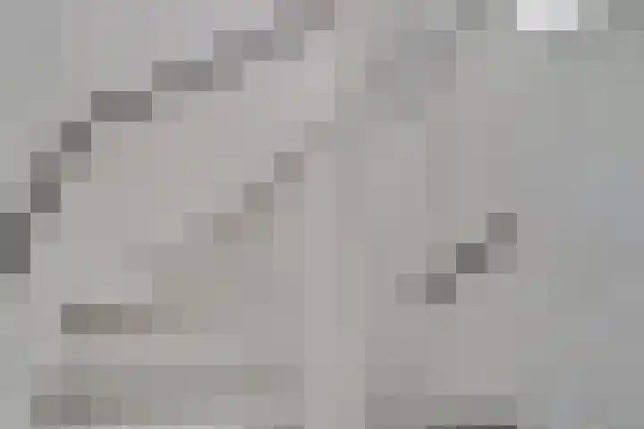 De Klip 70 Koedijk thumbnail 32