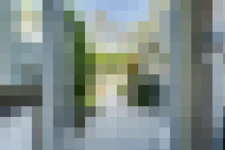 De Klip 70 Koedijk thumbnail 41
