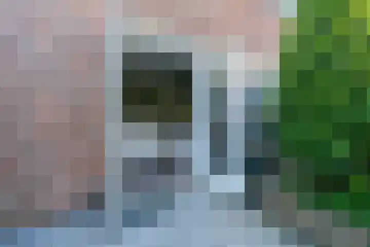 De Klip 70 Koedijk thumbnail 42