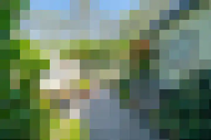 De Klip 70 Koedijk thumbnail 44