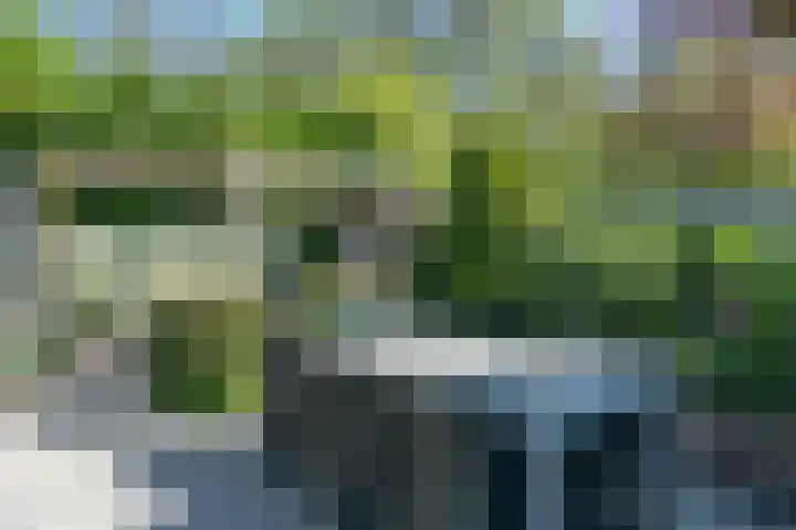 De Klip 70 Koedijk thumbnail 45