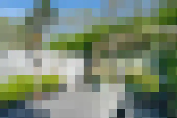 De Klip 70 Koedijk thumbnail 46