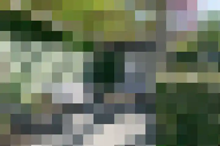 De Klip 70 Koedijk thumbnail 47