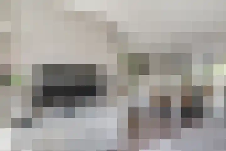 De Klip 70 Koedijk thumbnail 5